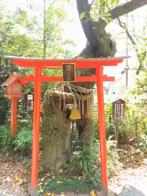 冠稲荷神社(群馬県)