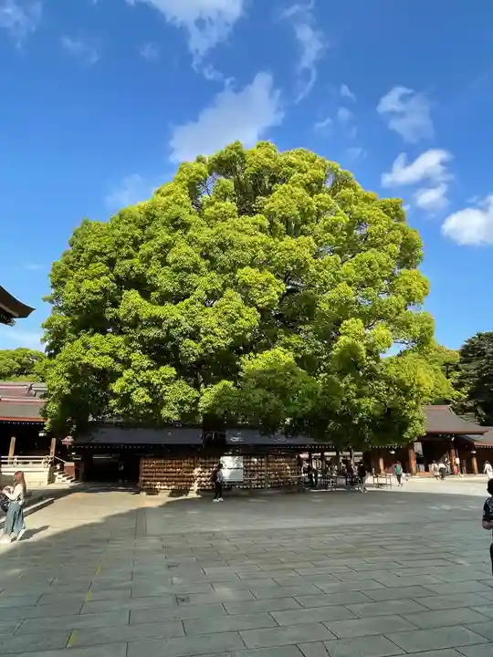 明治神宮の自然