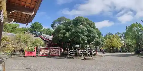 市原稲荷神社の自然