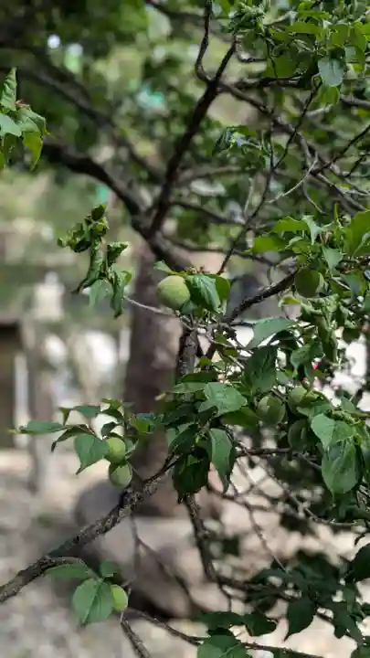 榴岡天満宮(宮城県)