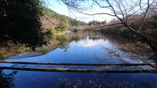 龍安寺の庭園