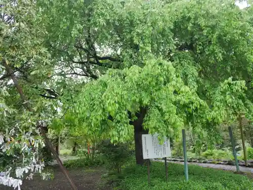 森友瀧尾神社(栃木県)