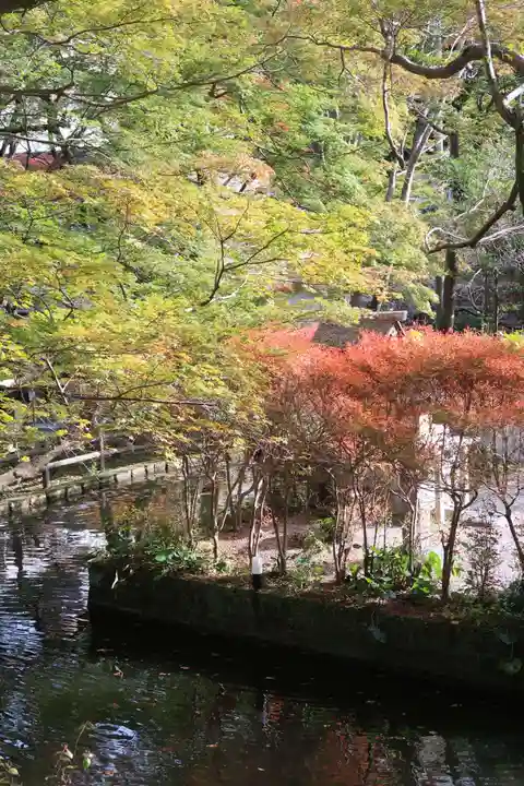 談山神社の自然