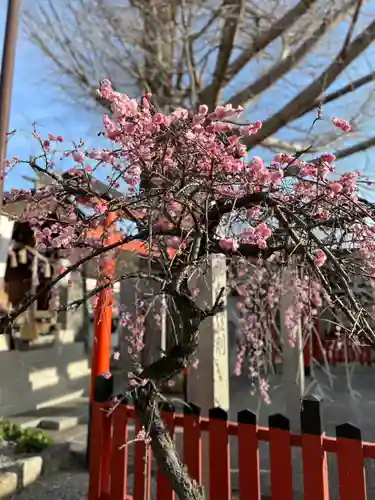 瀧宮神社(広島県)