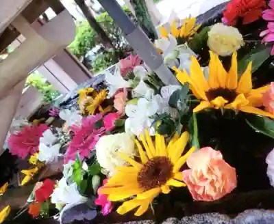 鳩森八幡神社の手水舎