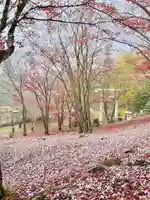 土津神社|こどもと出世の神さま(福島県)