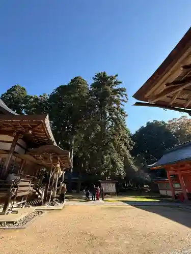 出石神社(兵庫県)