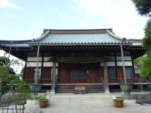 徳願寺の本殿・本堂