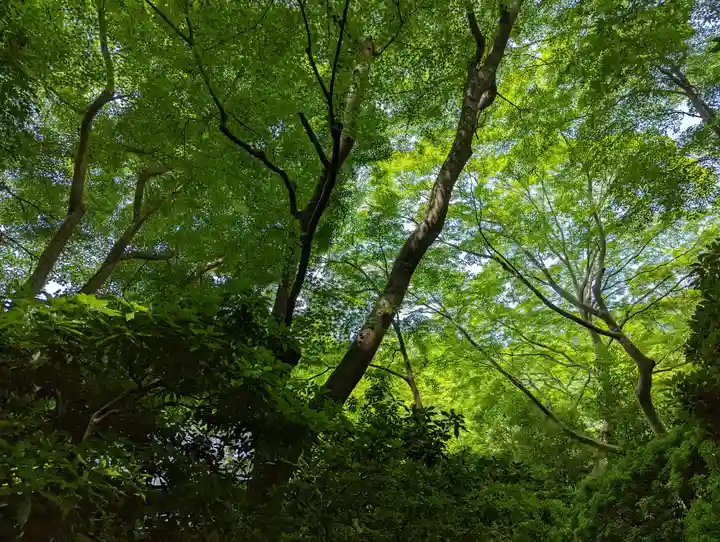 光明寺瑠璃光院(京都府)