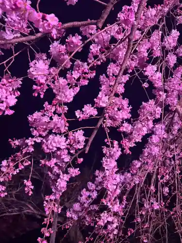 水無瀬神宮(大阪府)