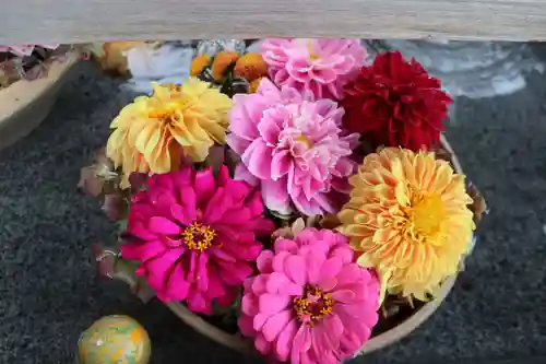 豊景神社の手水舎