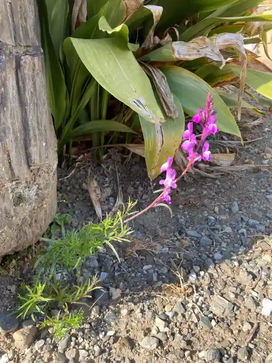諏訪神社(群馬県)
