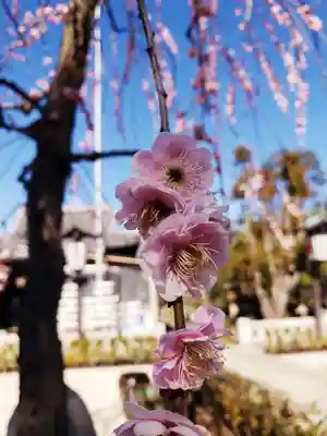 常性寺(東京都)