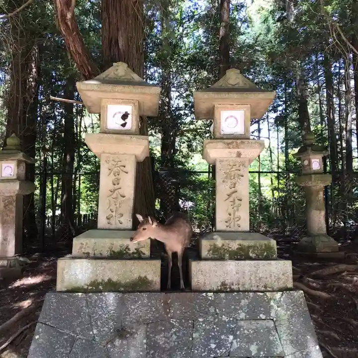 春日大社の動物