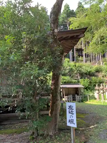 宇迦神社の庭園