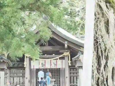 諏訪大社上社前宮の本殿・本堂