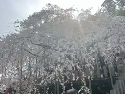 小川諏訪神社の{uncategorized: "未分類", other: "その他", undefined: "問題あり", building: "その他建物", grave: "お墓", sacred_gate: "鳥居", guardian: "狛犬", statue: "像", buddha: "仏像", history: "歴史", nature: "自然", garden: "庭園", animal: "動物", pagoda: "塔", temizu: "手水舎", mountain_gate: "山門・神門", sanctuary: "本殿・本堂", subordinate: "末社・摂社", art: "芸術", scenery: "景色", jizo: "地蔵", ema: "絵馬", goshuin: "御朱印", omikuji: "おみくじ", items: "授与品その他", amulet: "お守り", goshuincho: "御朱印帳", eats: "食事", festival: "お祭り", votive_dance: "神楽", shichigosan: "七五三参", wedding: "結婚式", experience: "体験その他", initially: "初詣", around: "周辺", anti_infection: "感染症対策"}
