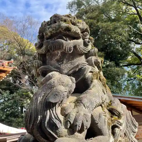 代々木八幡宮の狛犬