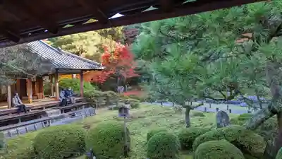 青蓮院門跡(京都府)