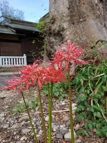 多賀神社の自然