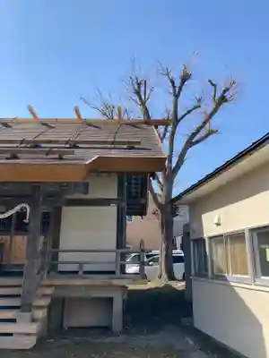 朝里神社のその他建物