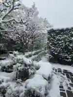 大光院の{uncategorized: "未分類", other: "その他", undefined: "問題あり", building: "その他建物", grave: "お墓", sacred_gate: "鳥居", guardian: "狛犬", statue: "像", buddha: "仏像", history: "歴史", nature: "自然", garden: "庭園", animal: "動物", pagoda: "塔", temizu: "手水舎", mountain_gate: "山門・神門", sanctuary: "本殿・本堂", subordinate: "末社・摂社", art: "芸術", scenery: "景色", jizo: "地蔵", ema: "絵馬", goshuin: "御朱印", omikuji: "おみくじ", items: "授与品その他", amulet: "お守り", goshuincho: "御朱印帳", eats: "食事", festival: "お祭り", votive_dance: "神楽", shichigosan: "七五三参", wedding: "結婚式", experience: "体験その他", initially: "初詣", around: "周辺", anti_infection: "感染症対策"}