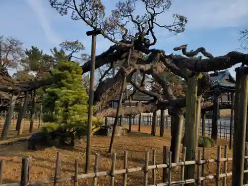 大光院 新田寺の自然
