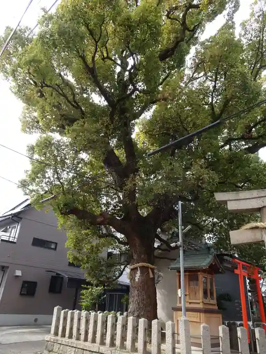 住吉神社(大阪府)