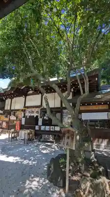 白峯神宮(京都府)