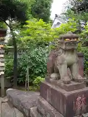 白山神社の狛犬