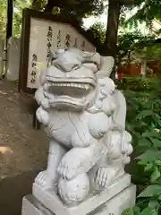 自由が丘熊野神社の狛犬