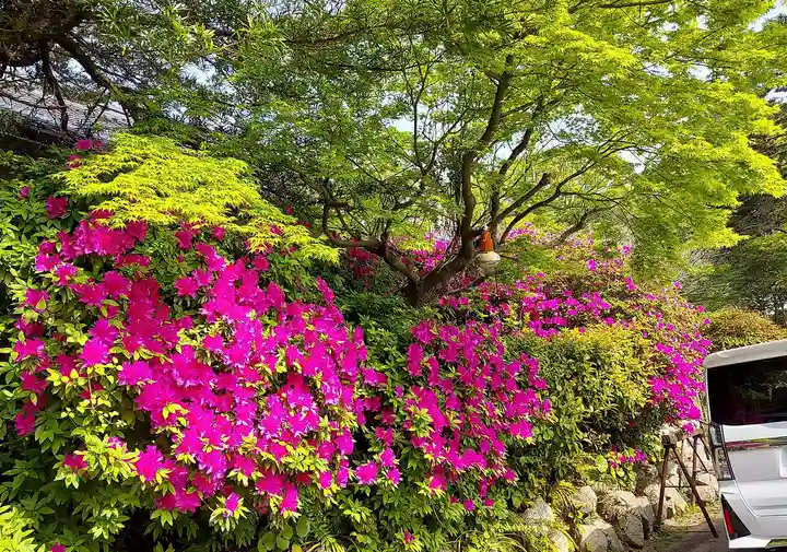 忌宮神社の自然