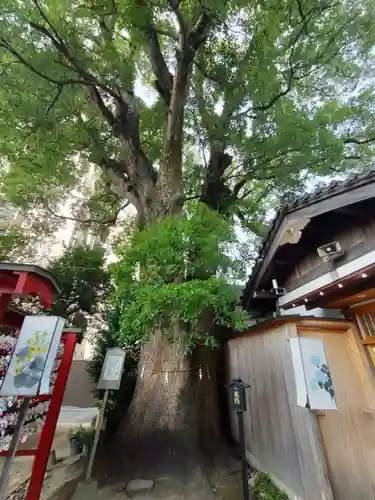 菅生神社(愛知県)
