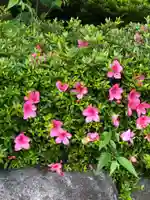 大生郷天満宮の自然