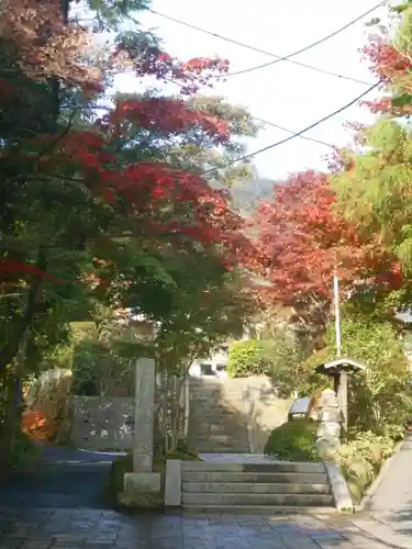 海蔵寺の景色