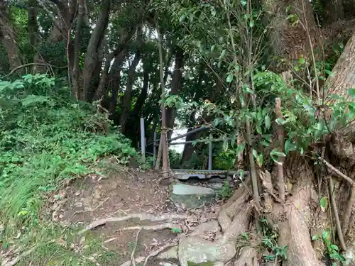 月夜見神社の自然