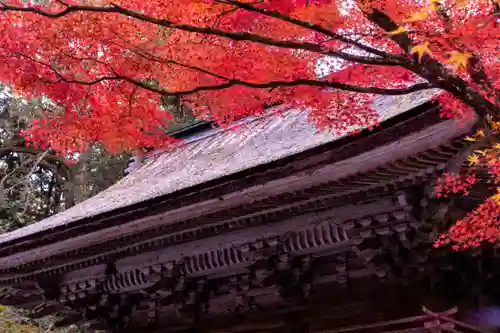 大矢田神社(岐阜県)