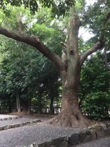 清野井庭神社(豊受大神宮摂社)の自然