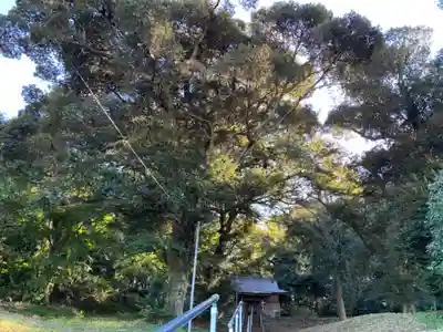 日枝神社のその他建物