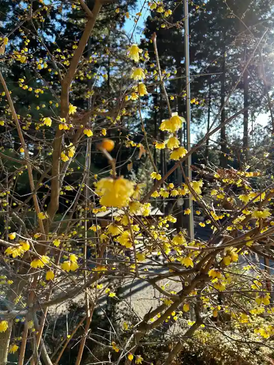 日光大室高龗神社(栃木県)