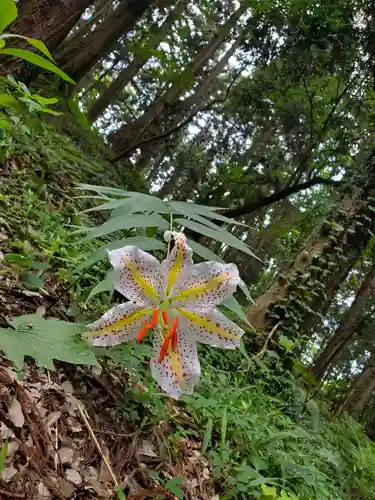 鹿島大神宮(福島県)