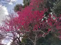 志波彦神社・鹽竈神社の自然