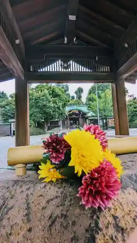 白金氷川神社の手水