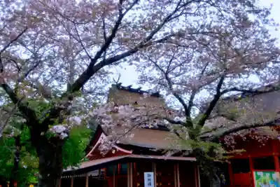 富士山本宮浅間大社の本殿・本堂