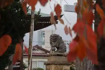 熊野福藏神社の狛犬