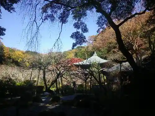 瑞泉寺の庭園