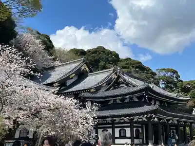 長谷寺(神奈川県)