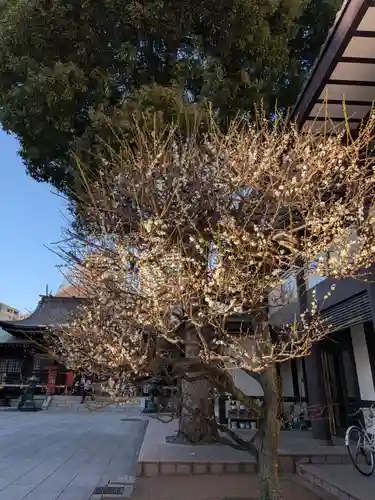 熊野神社(東京都)