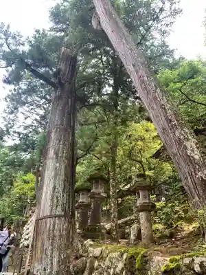 石上神宮(奈良県)