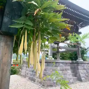 仁玄寺(北海道)(2025年09月25日(木) 15時18分43秒投稿)